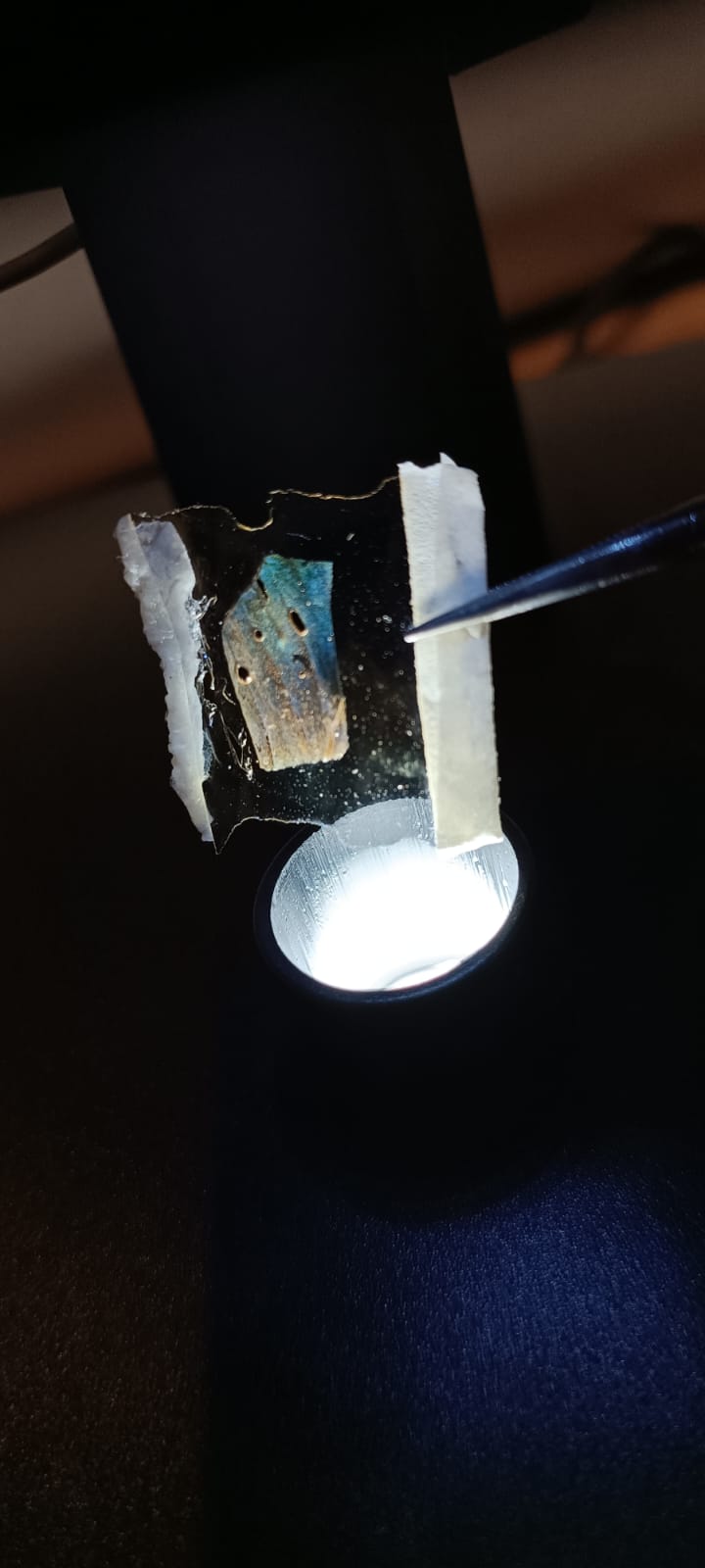 Lab 3