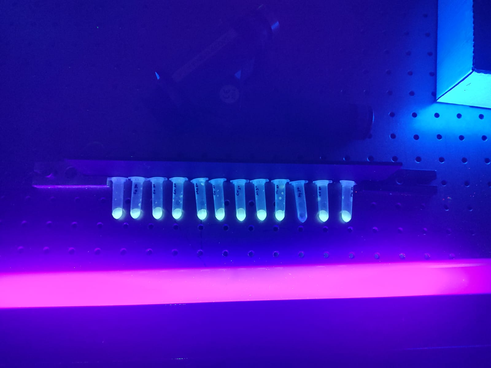 Lab 3